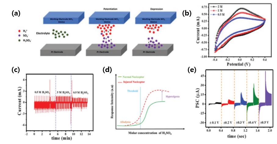 220219214740_675_Artificial Nociceptor Using Liquid Ionic Memory.JPG